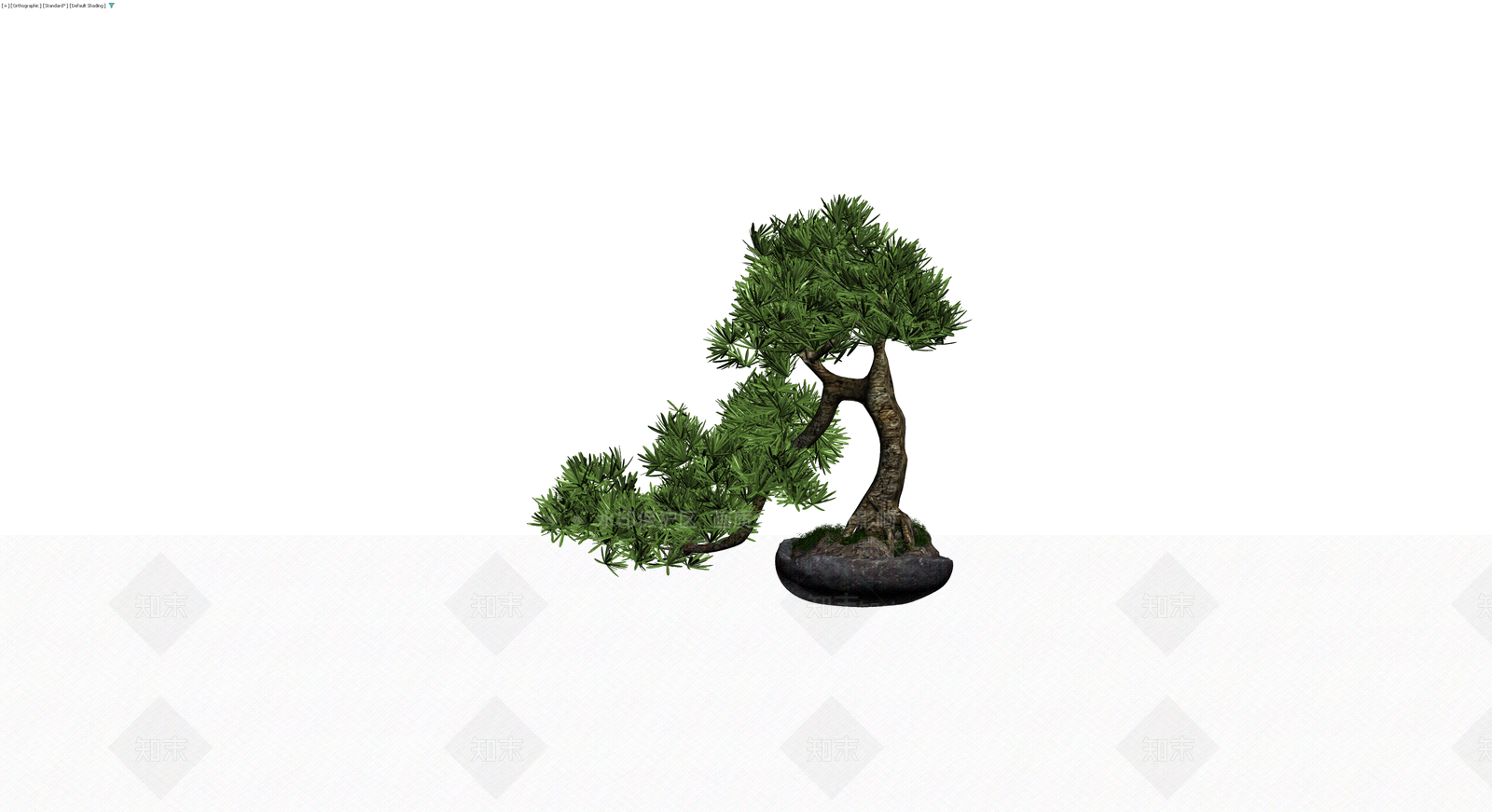 盆景松树盆栽3D模型下载【ID:1229964883】