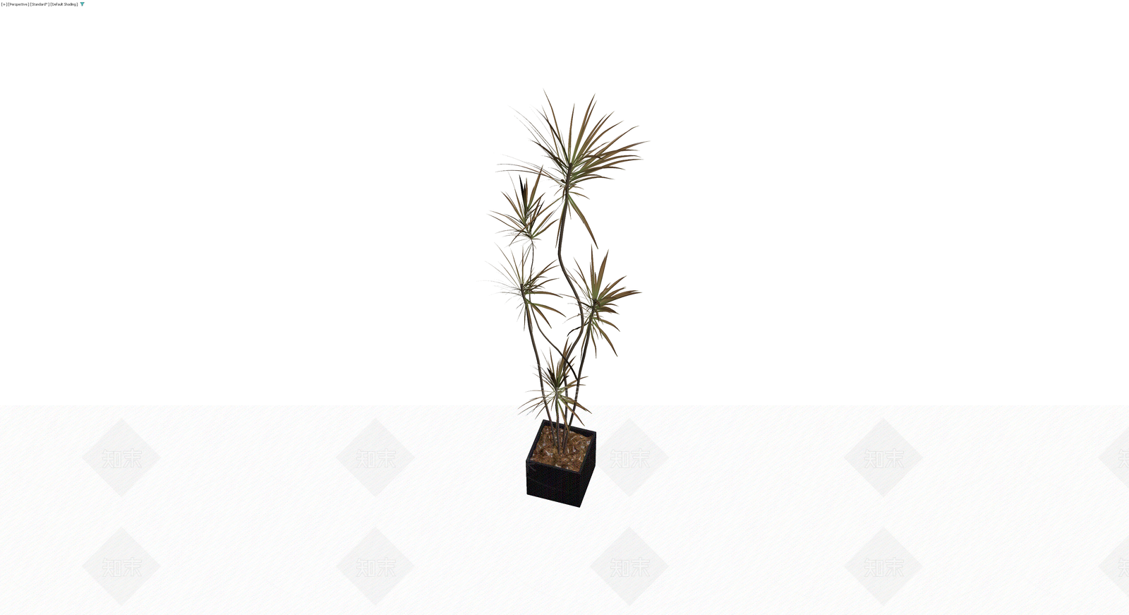 盆栽植物带盆3D模型下载【ID:1230558271】