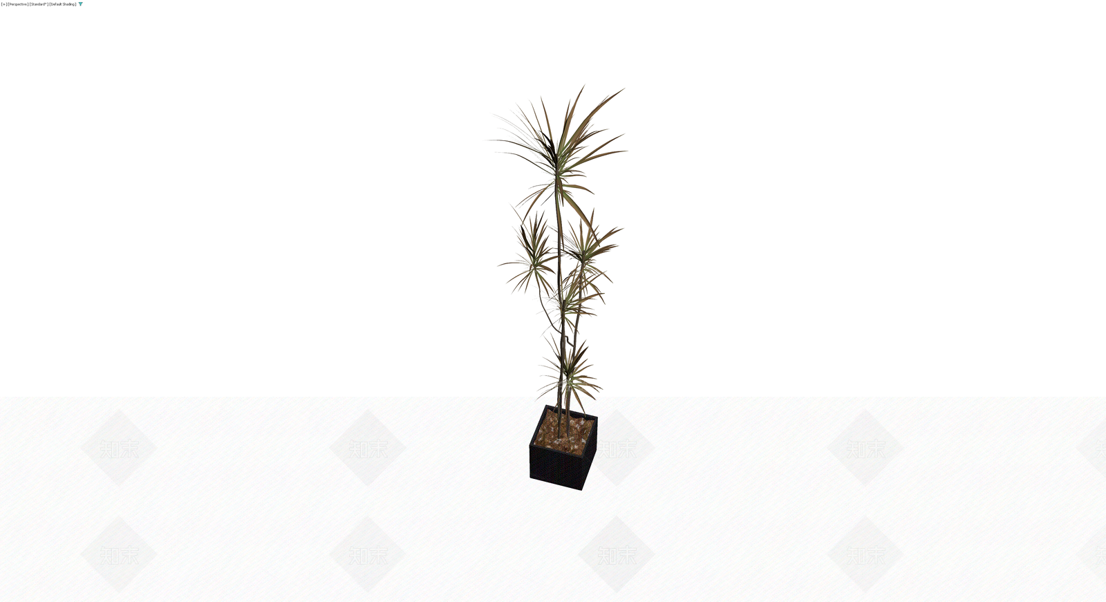 盆栽植物带盆3D模型下载【ID:1230558271】