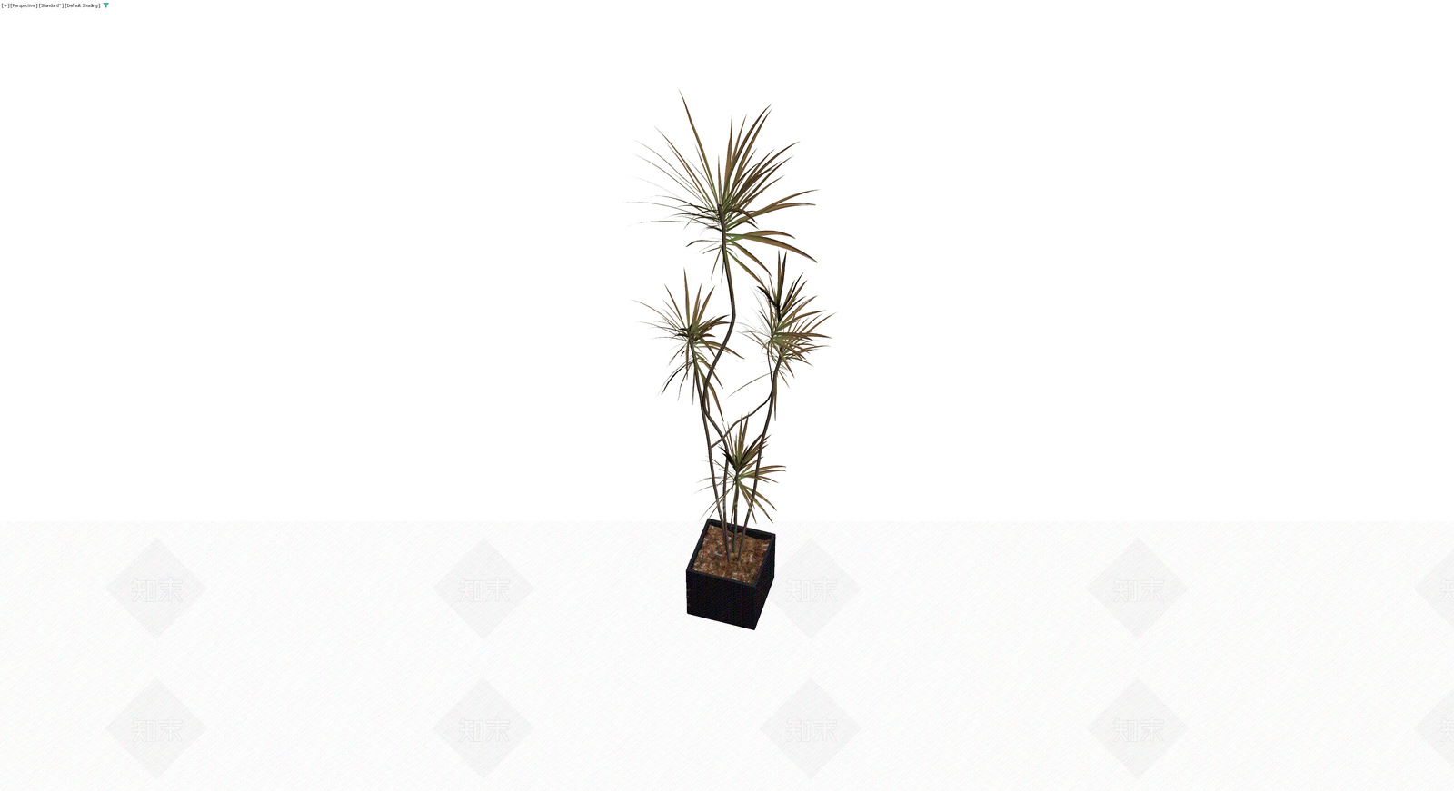 盆栽植物带盆3D模型下载【ID:1230558271】