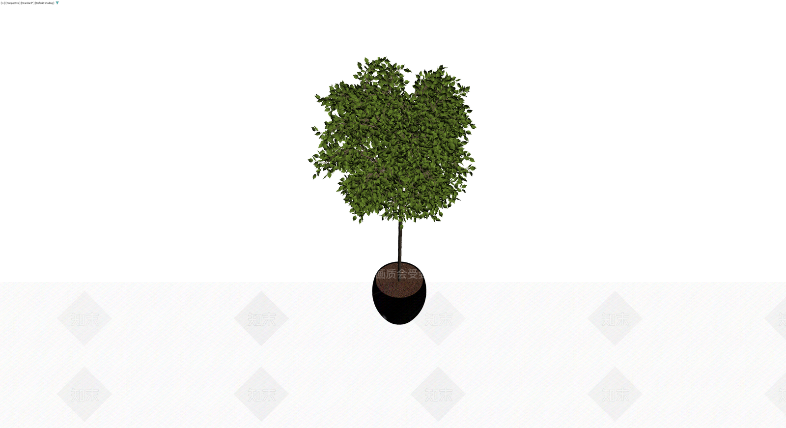 黑色圆盆绿植盆栽3D模型下载【ID:1230682581】