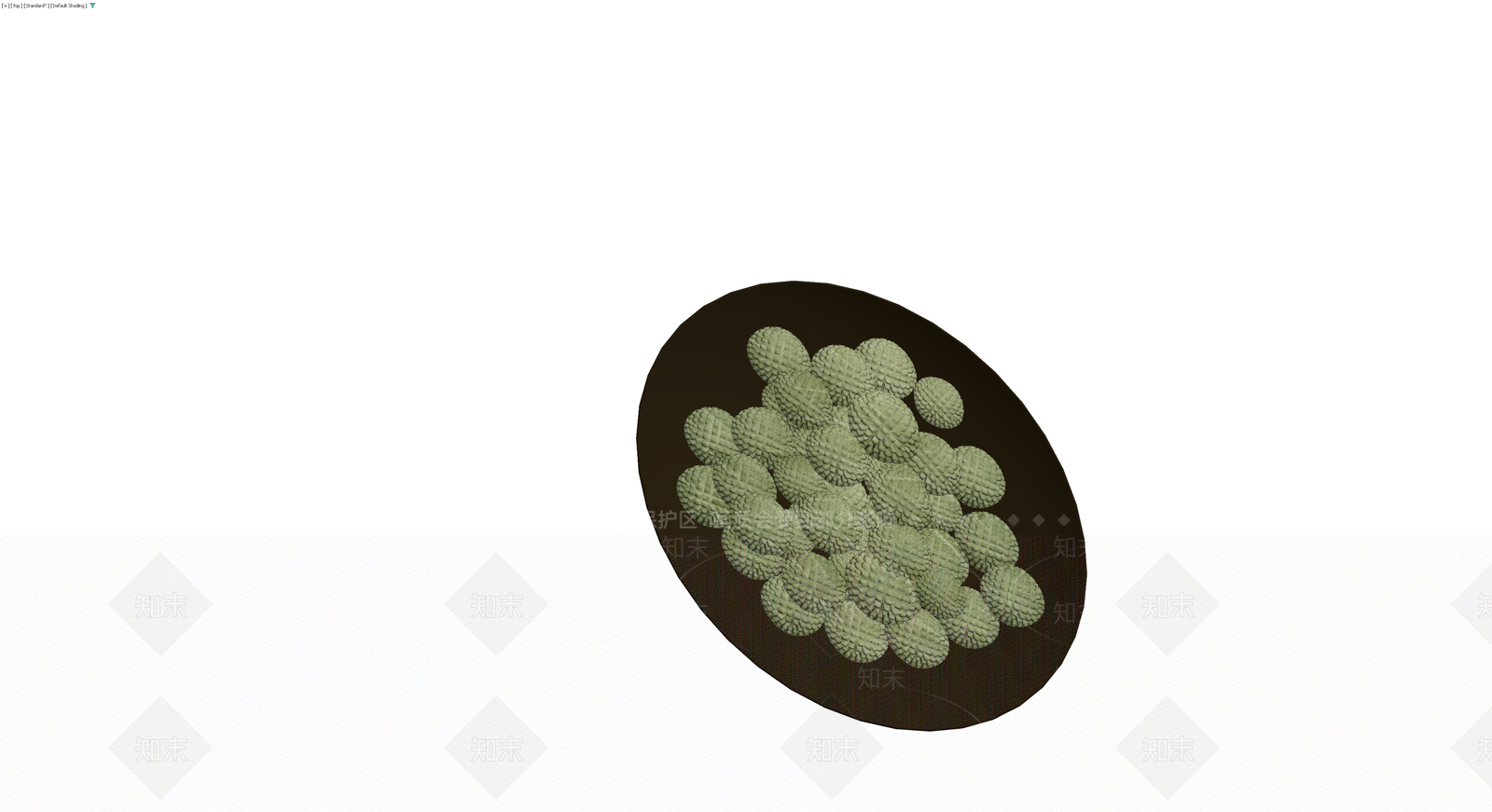 黑盘盛装绿色植物模型3D模型下载【ID:1230560945】