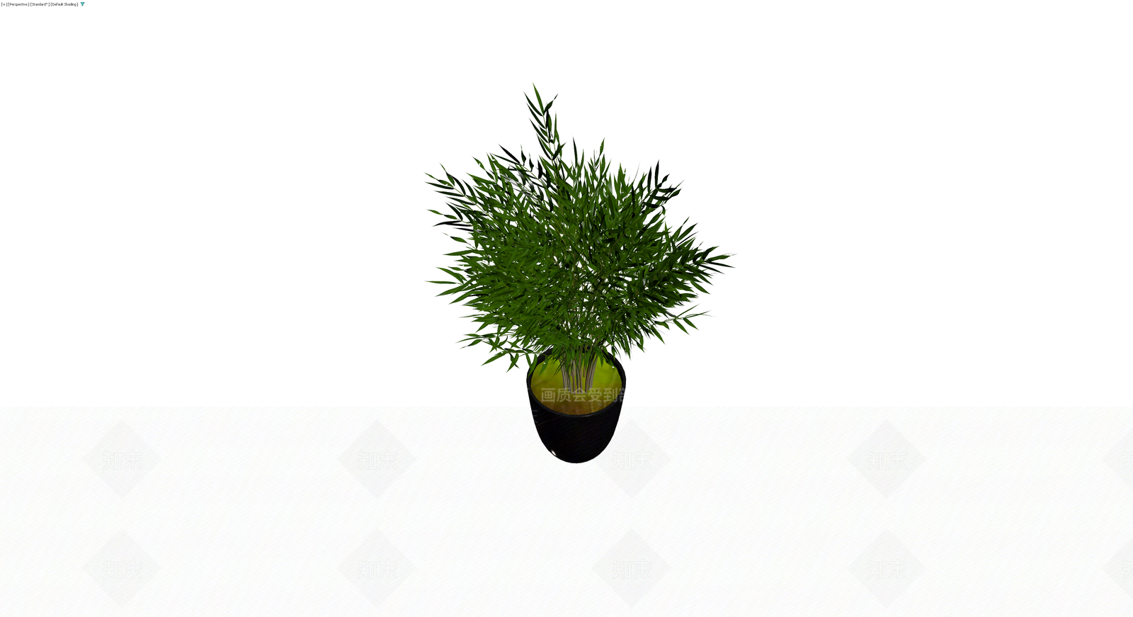 盆栽竹类植物3D模型下载【ID:1230585600】
