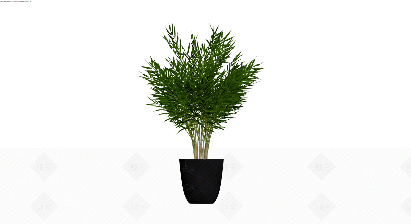 盆栽竹类植物3D模型下载【ID:1230585600】