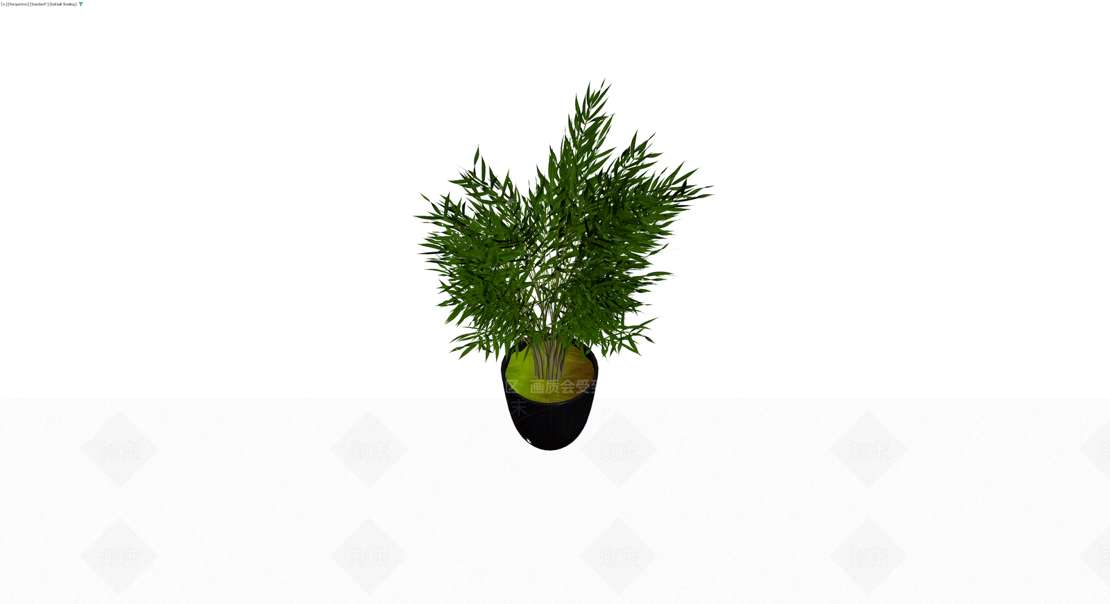 盆栽竹类植物3D模型下载【ID:1230585600】