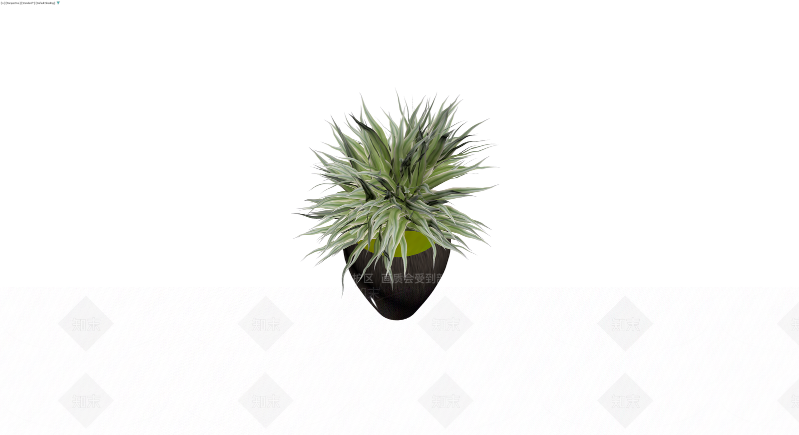盆栽植物带花盆3D模型下载【ID:1230585623】
