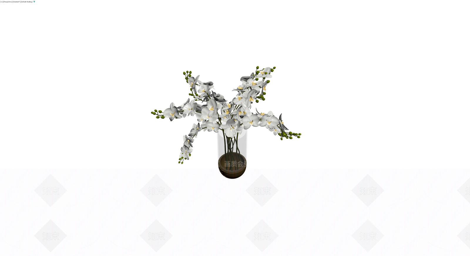白兰花盆栽组合3D模型下载【ID:1230766932】