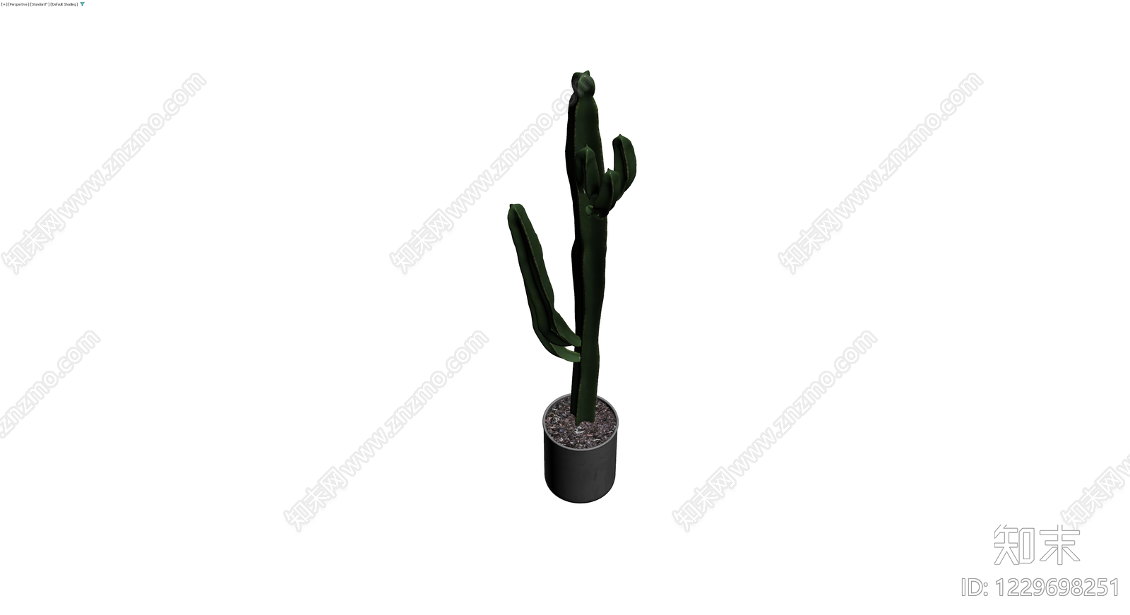 盆栽仙人掌植物3D模型下载【ID:1229698251】
