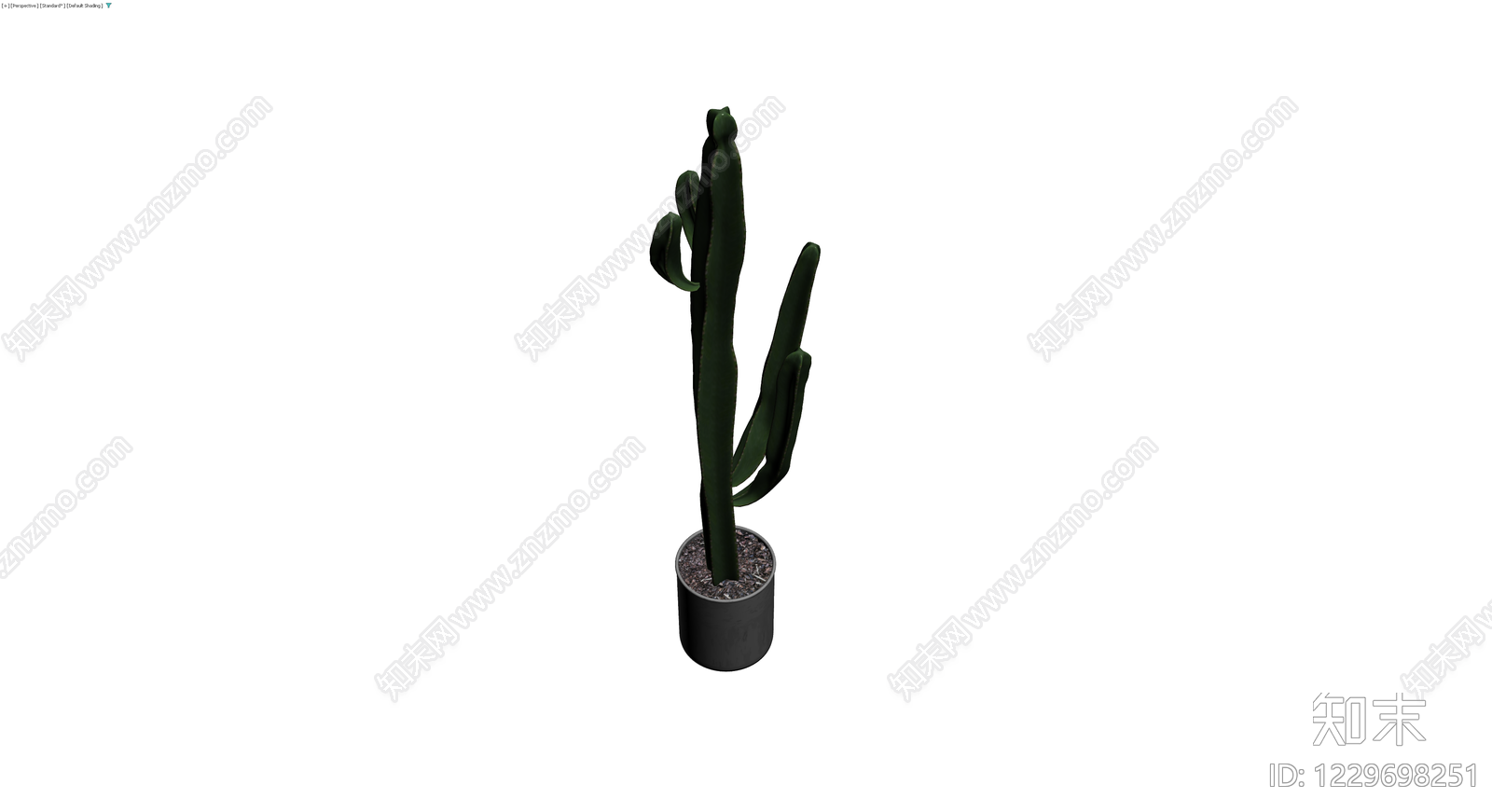 盆栽仙人掌植物3D模型下载【ID:1229698251】