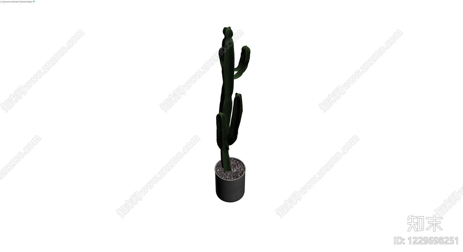 盆栽仙人掌植物3D模型下载【ID:1229698251】