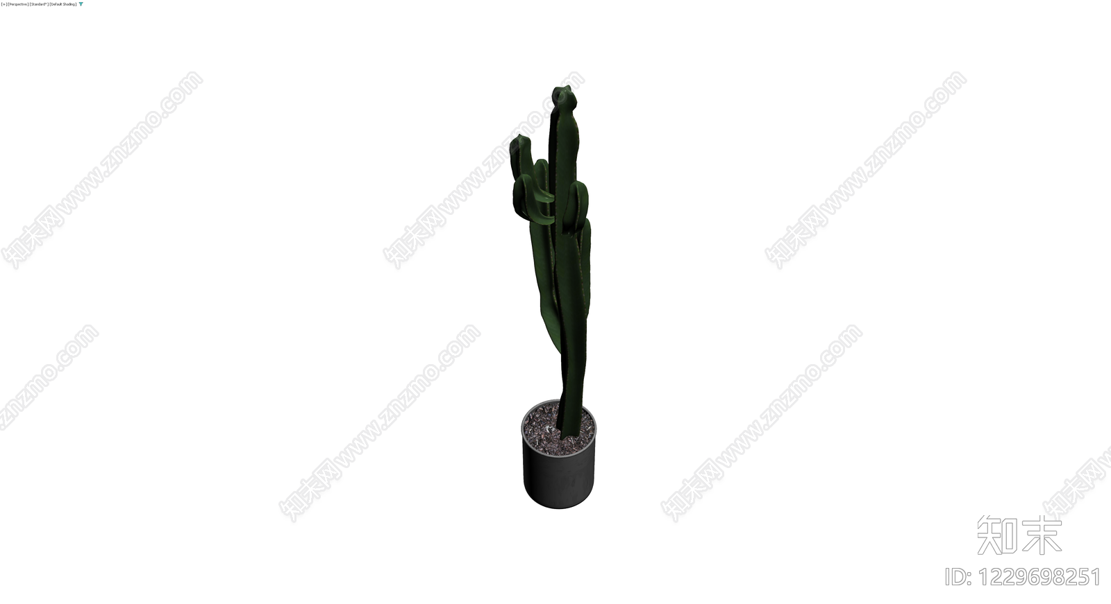 盆栽仙人掌植物3D模型下载【ID:1229698251】