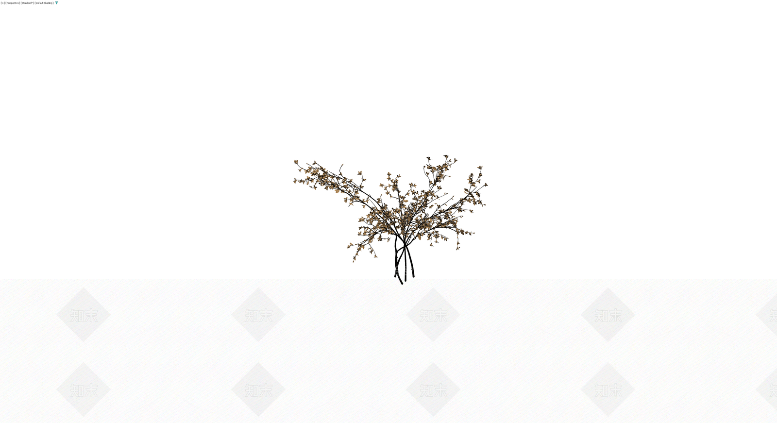 枯枝干花植物模型3D模型下载【ID:1230409408】