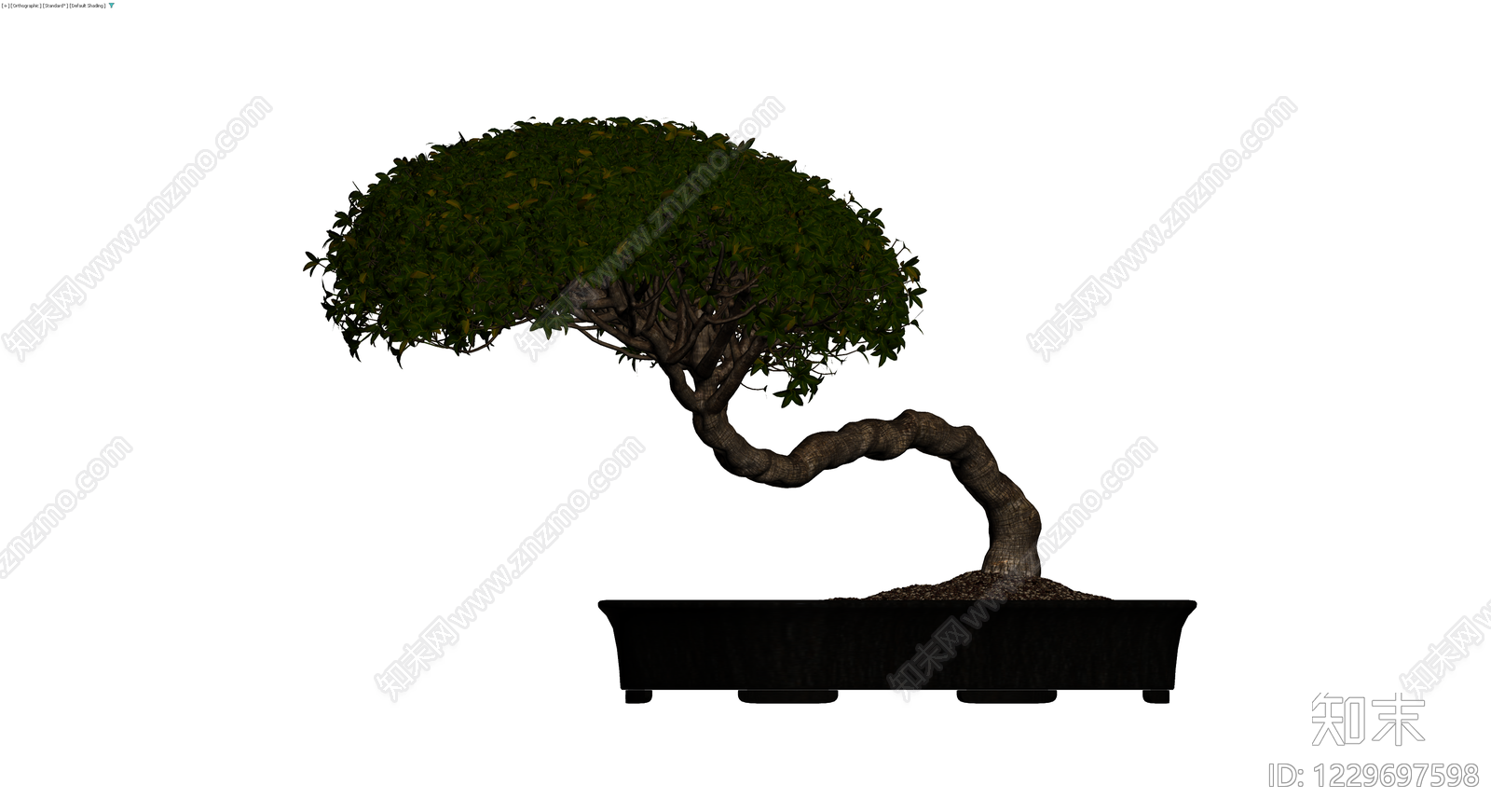 造型盆景盆栽模型3D模型下载【ID:1229697598】