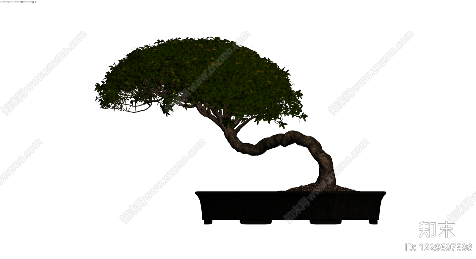 造型盆景盆栽模型3D模型下载【ID:1229697598】