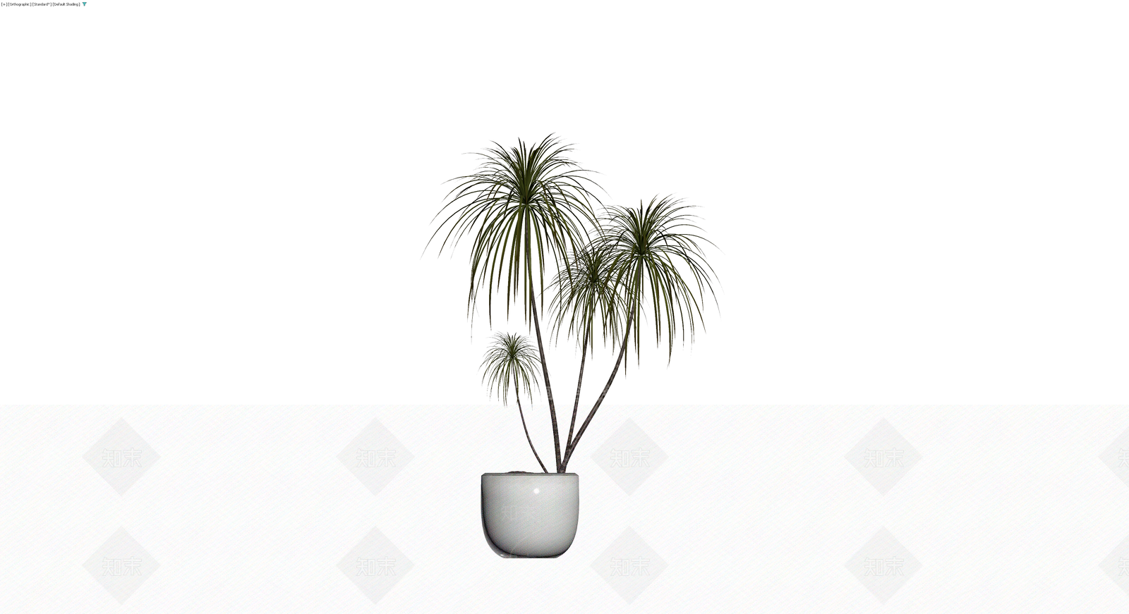 盆栽植物模型3D模型下载【ID:1230546020】