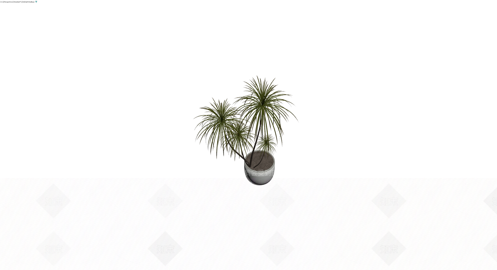 盆栽植物模型3D模型下载【ID:1230546020】