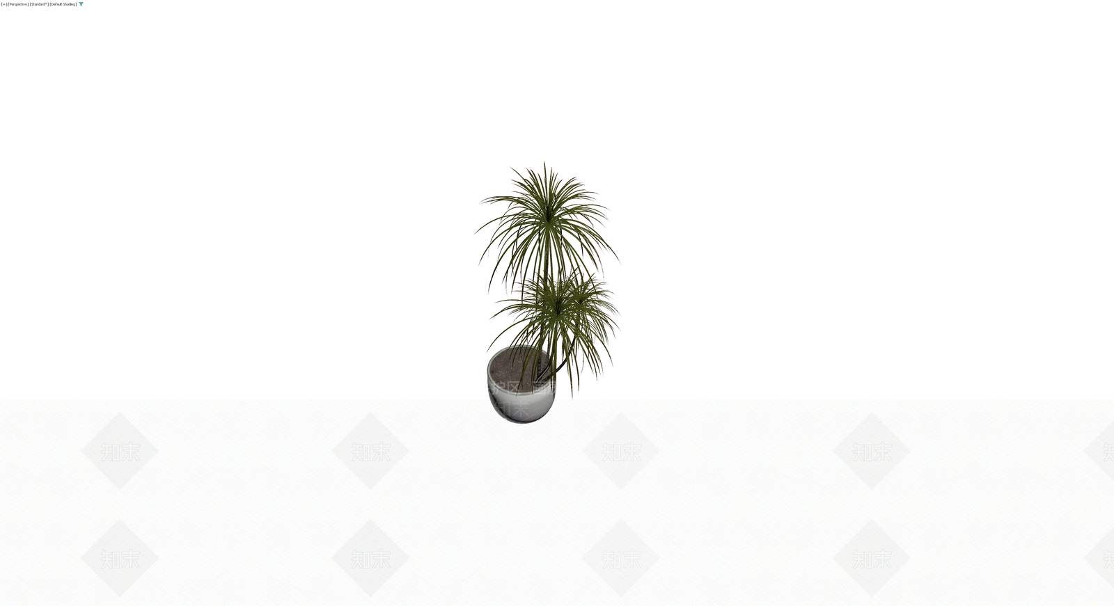 盆栽植物模型3D模型下载【ID:1230546020】