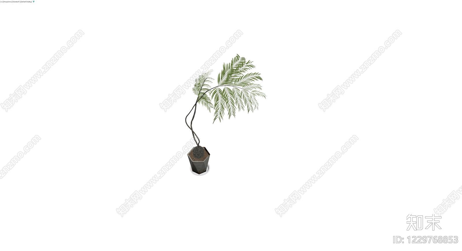 带盆盆栽植物3D模型下载【ID:1229768853】