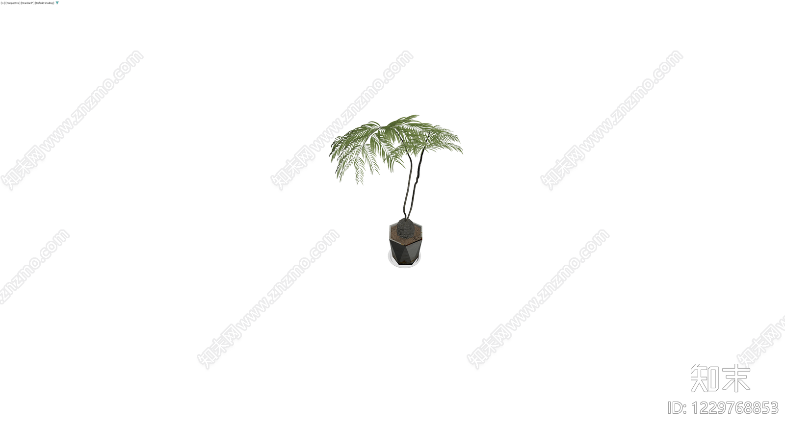 带盆盆栽植物3D模型下载【ID:1229768853】