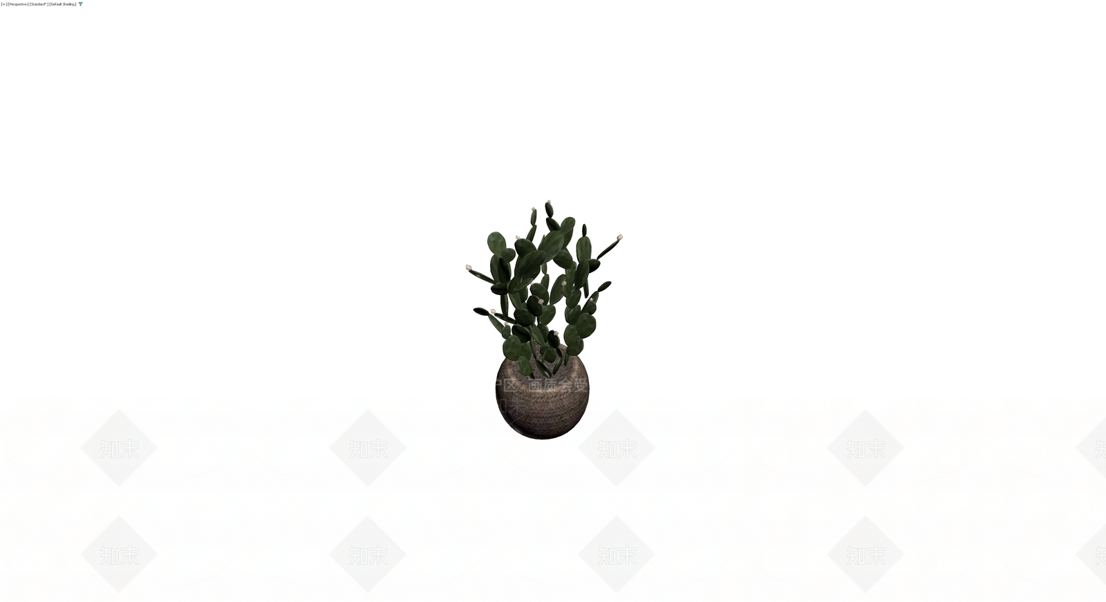 盆栽仙人掌组合3D模型下载【ID:1230360062】