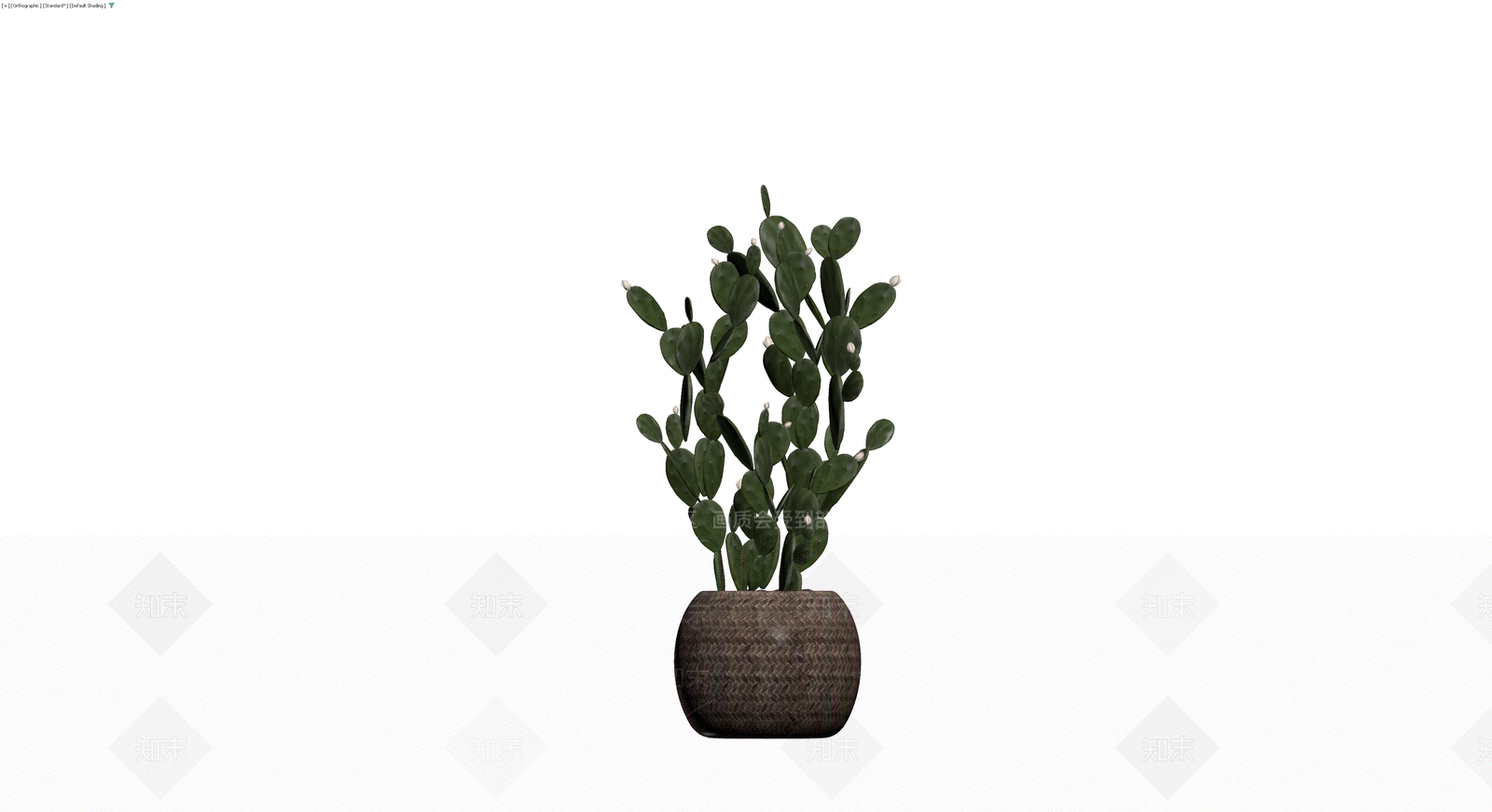 盆栽仙人掌组合3D模型下载【ID:1230360062】