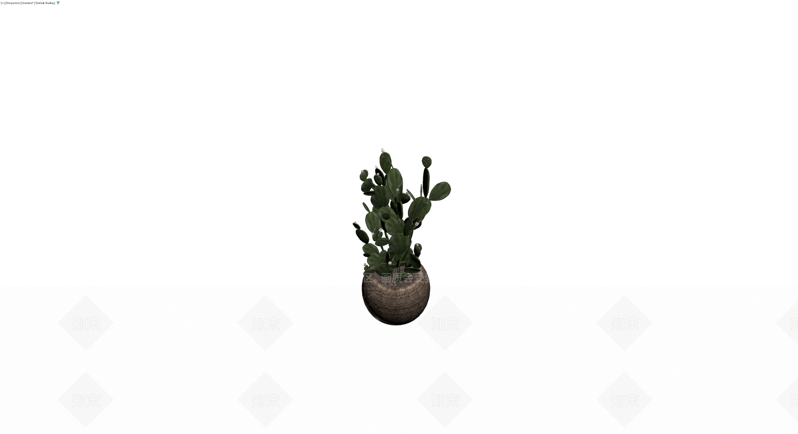 盆栽仙人掌组合3D模型下载【ID:1230360062】