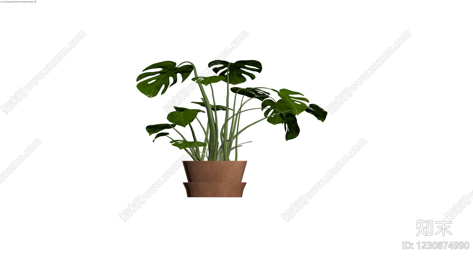 龟背竹盆栽模型3D模型下载【ID:1230874990】