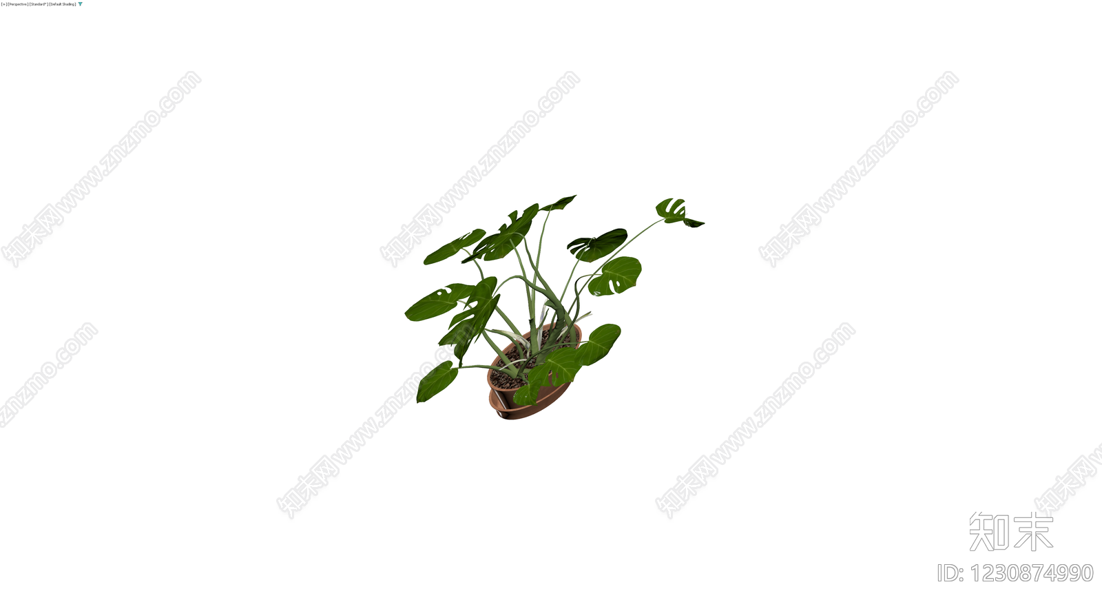 龟背竹盆栽模型3D模型下载【ID:1230874990】