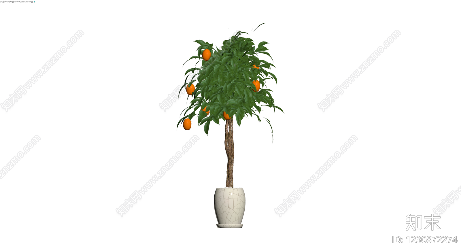 带盆柑橘盆栽3D模型下载【ID:1230872274】