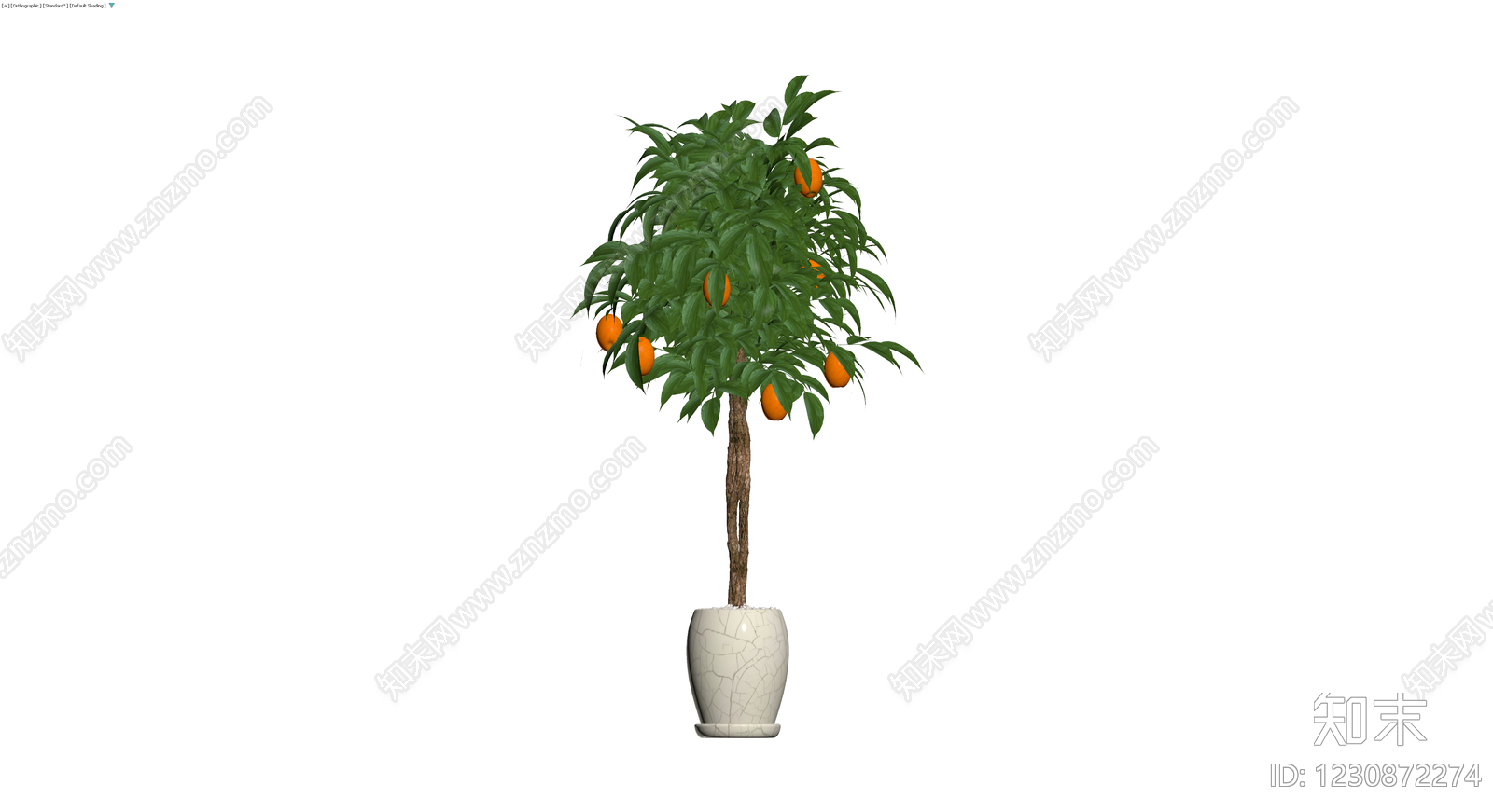 带盆柑橘盆栽3D模型下载【ID:1230872274】