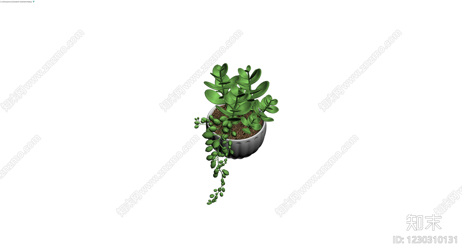 多肉组合盆栽模型3D模型下载【ID:1230310131】