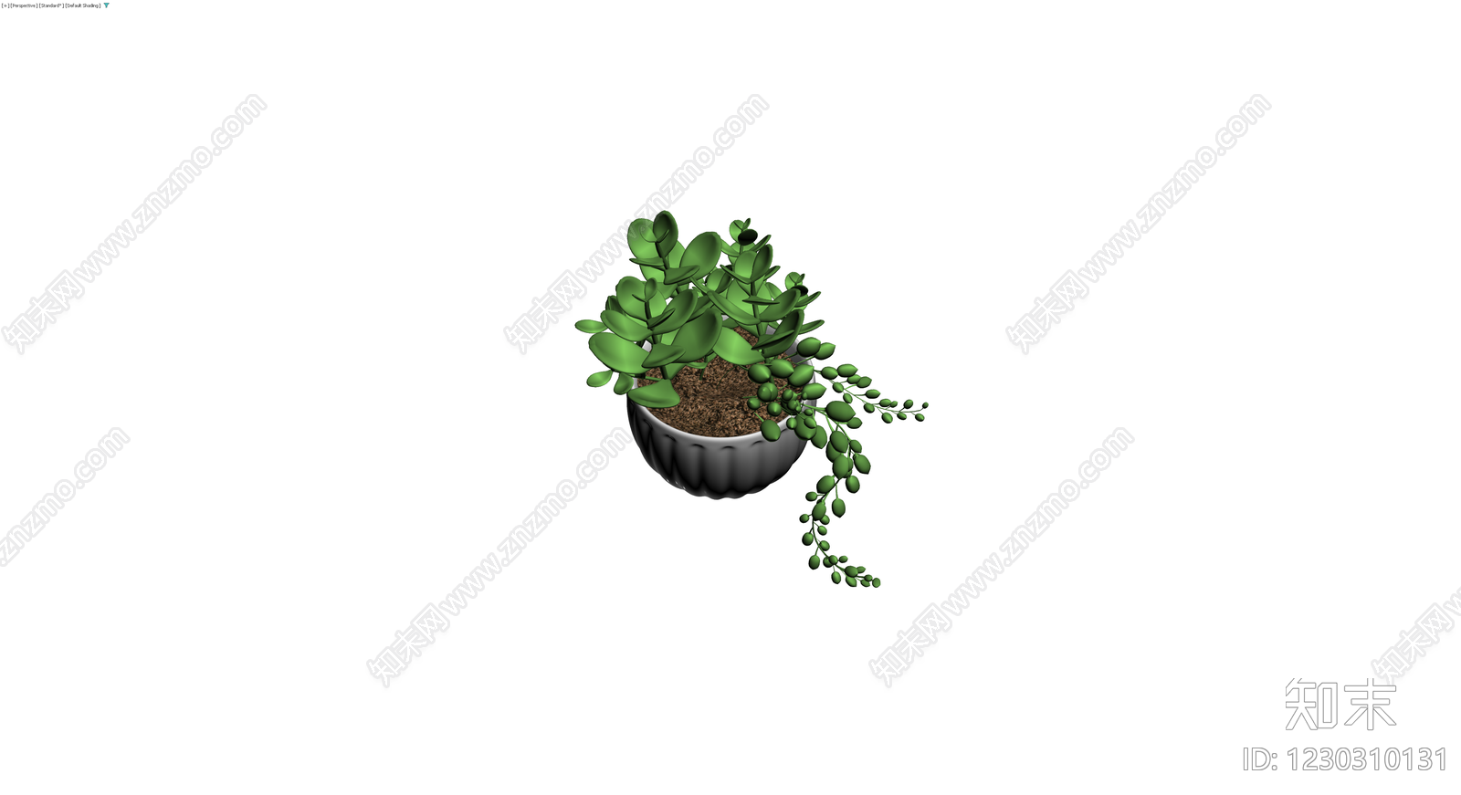 多肉组合盆栽模型3D模型下载【ID:1230310131】