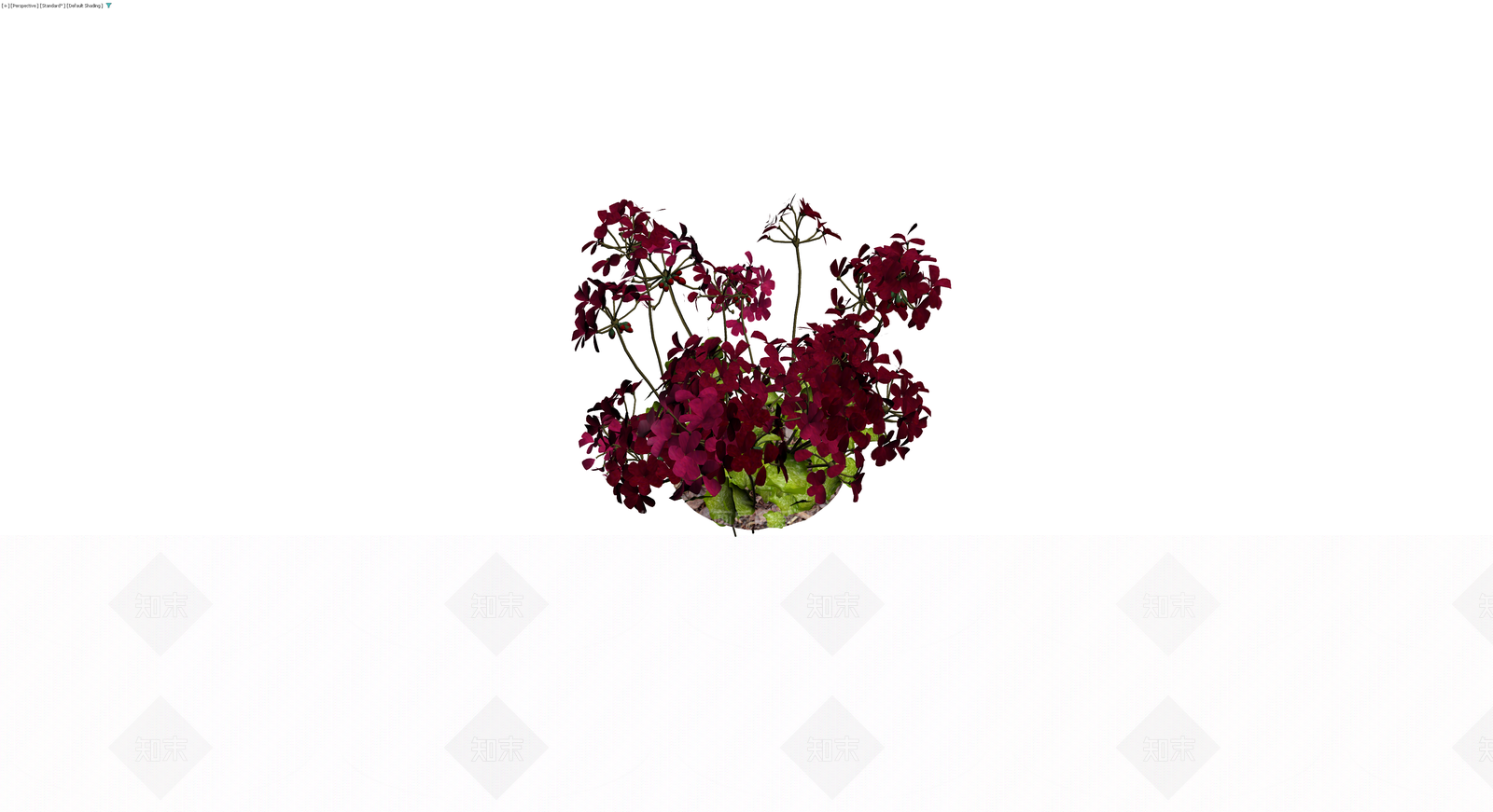 深红花朵盆栽组合3D模型下载【ID:1230554374】