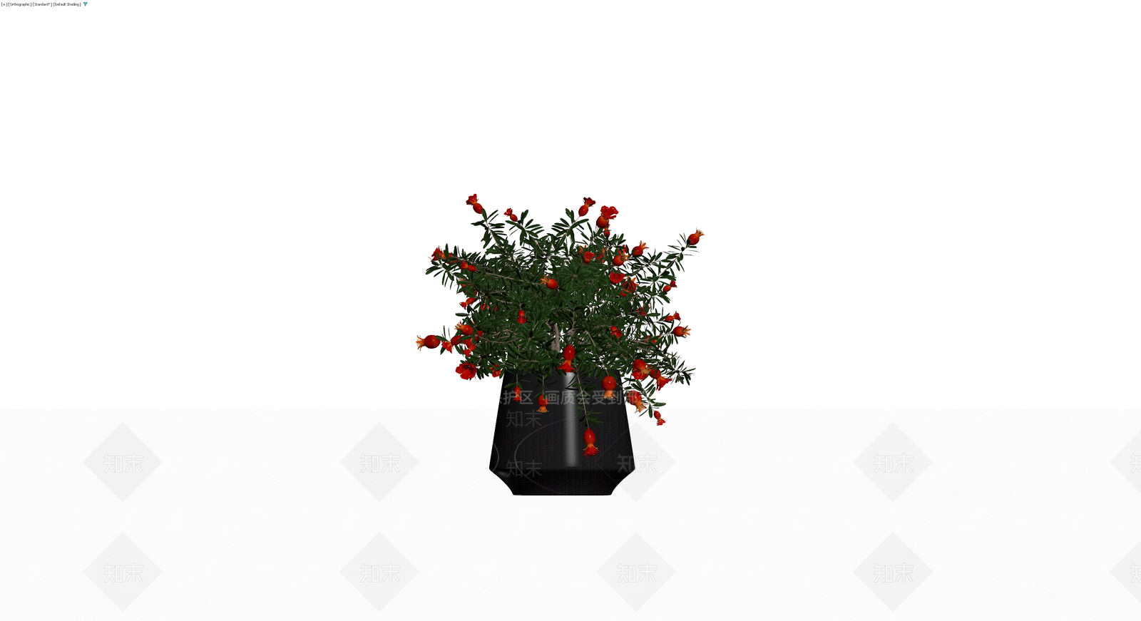 盆栽石榴植物模型3D模型下载【ID:1230352295】
