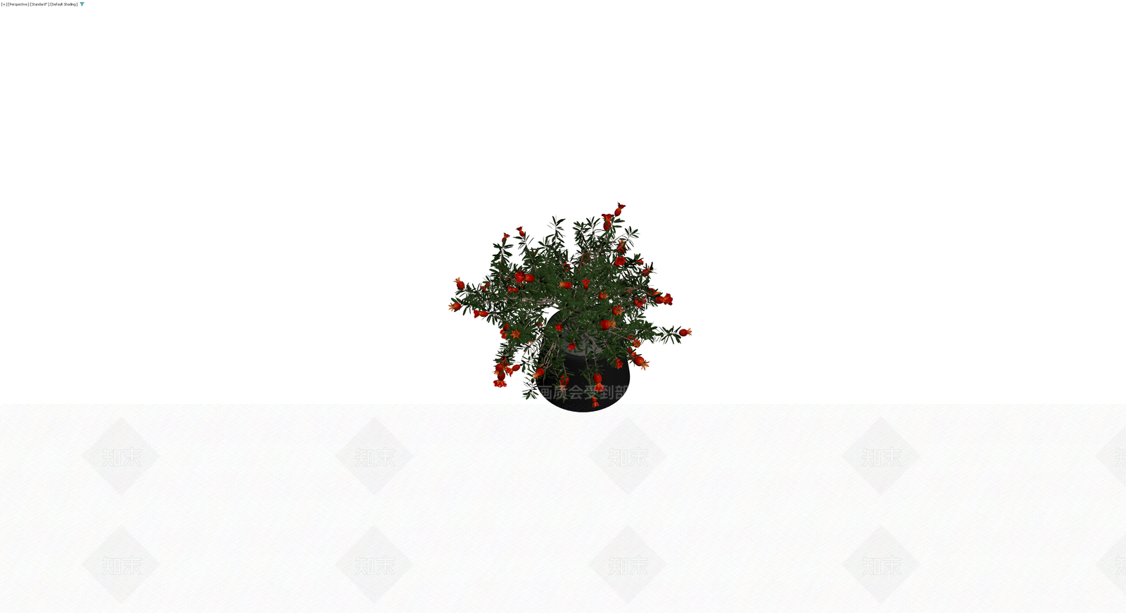 盆栽石榴植物模型3D模型下载【ID:1230352295】