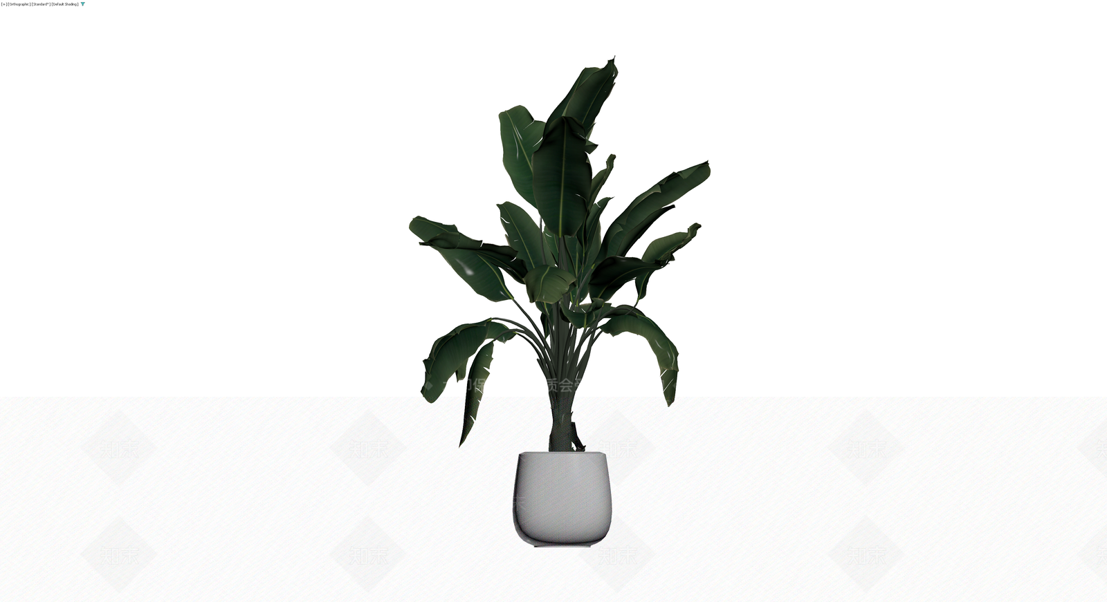 盆栽植物模型3D模型下载【ID:1230437755】