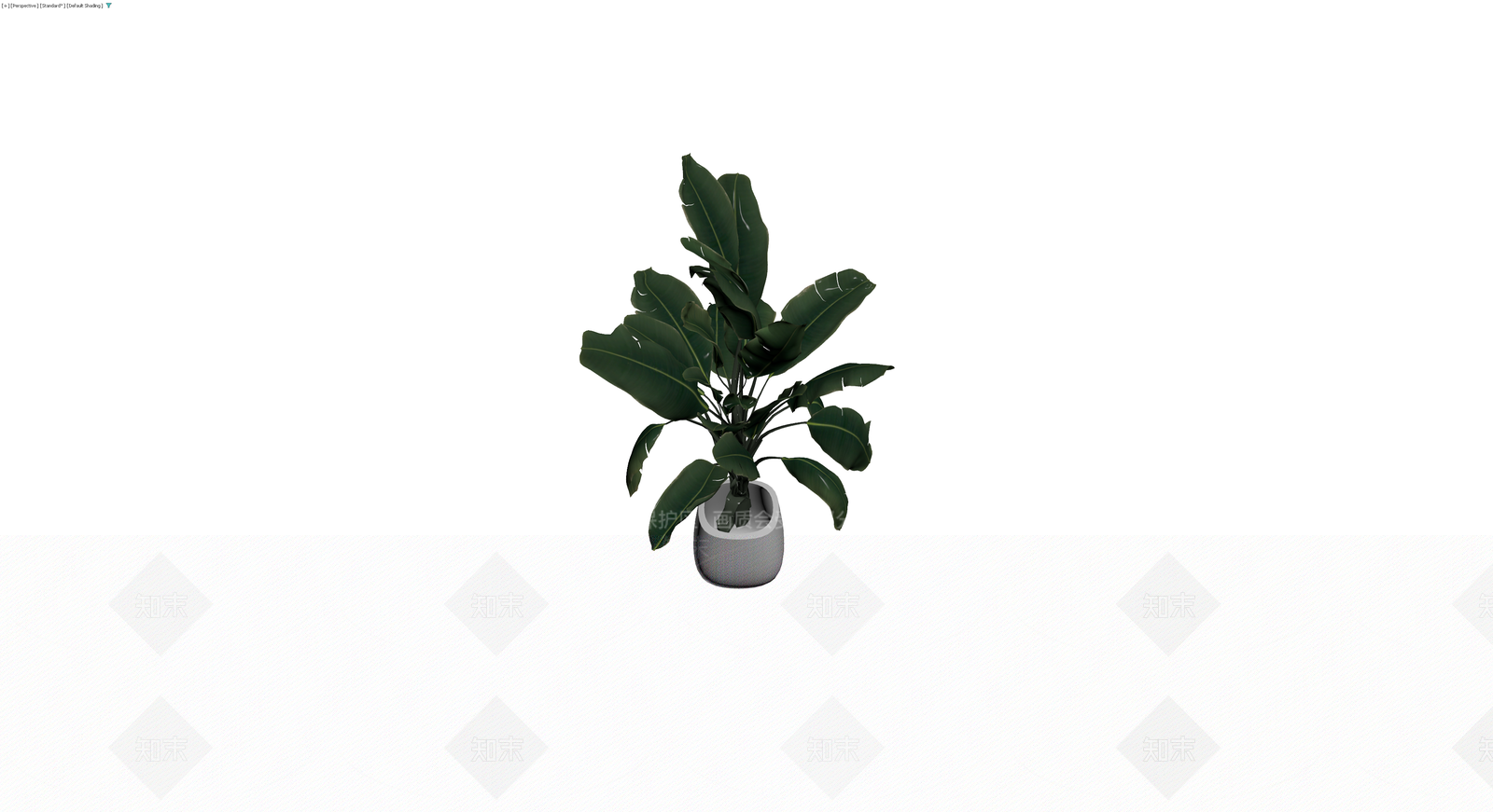 盆栽植物模型3D模型下载【ID:1230437755】