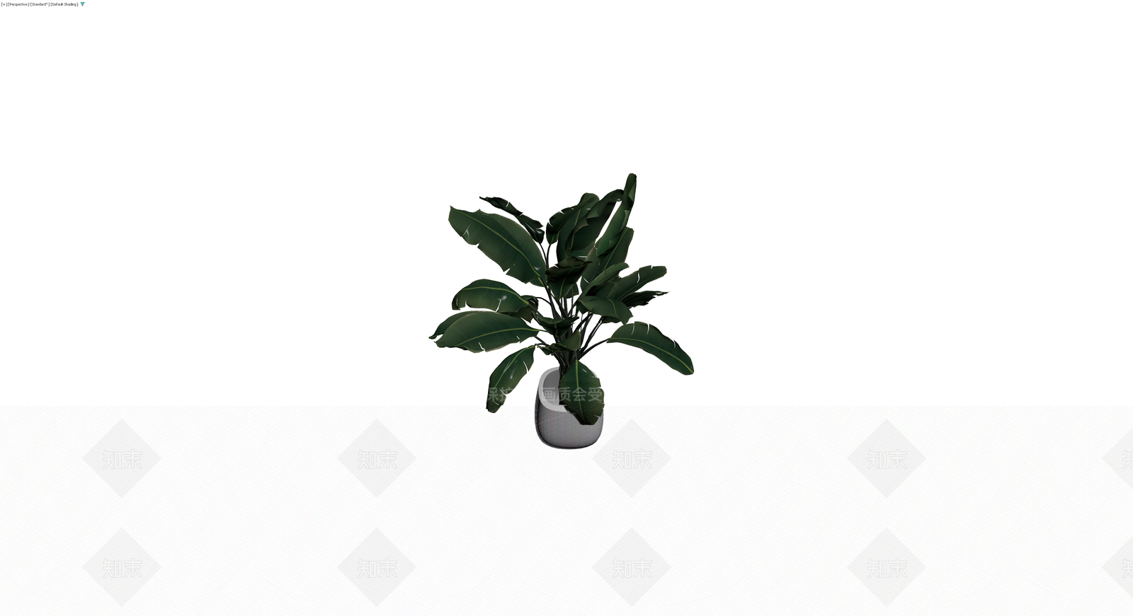 盆栽植物模型3D模型下载【ID:1230437755】