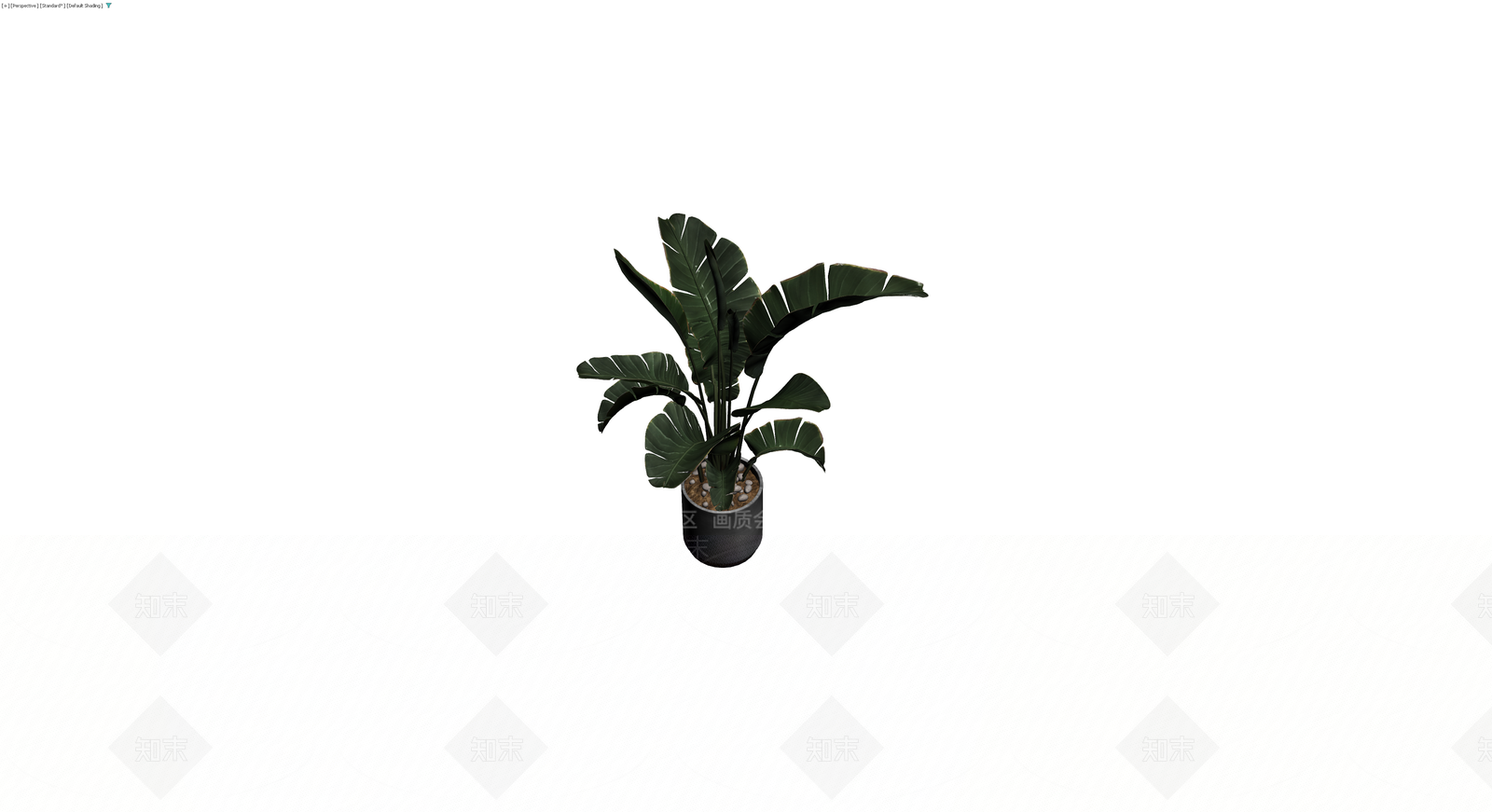 盆栽绿植组合3D模型下载【ID:1230645958】
