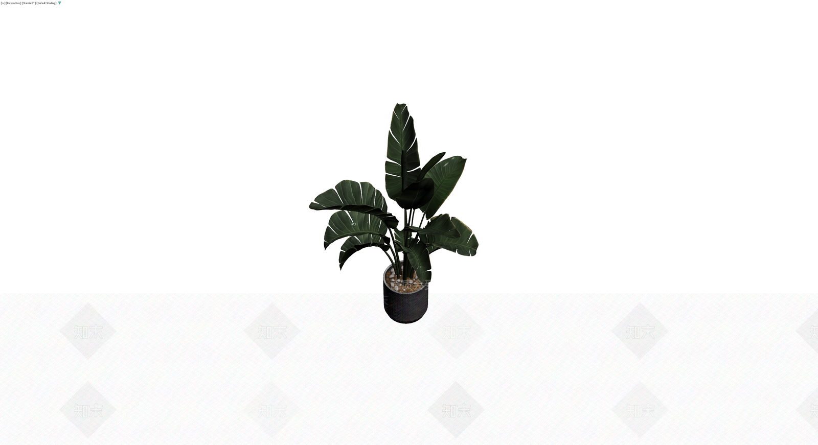 盆栽绿植组合3D模型下载【ID:1230645958】