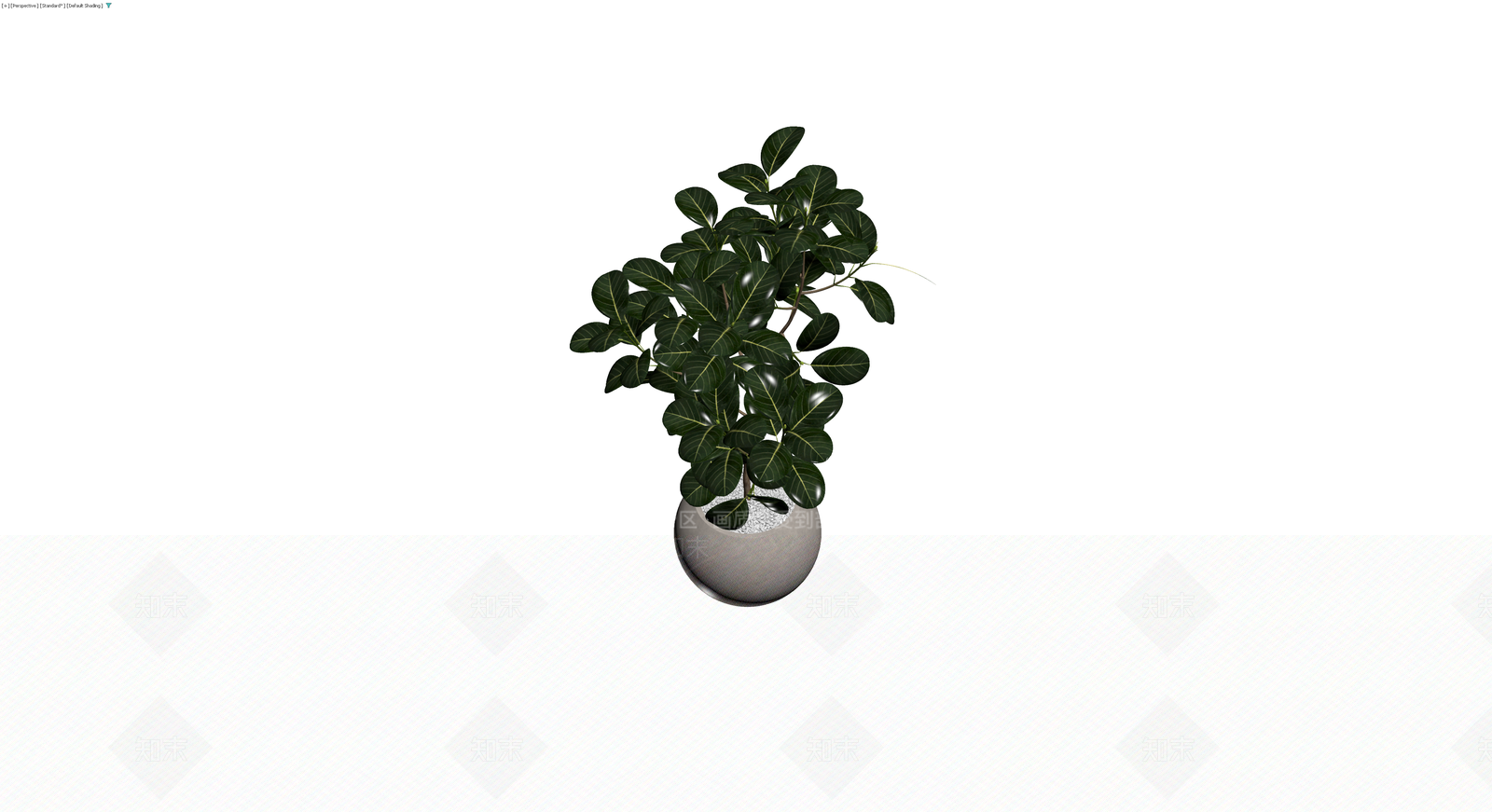 圆形灰盆绿植盆栽3D模型下载【ID:1230723243】