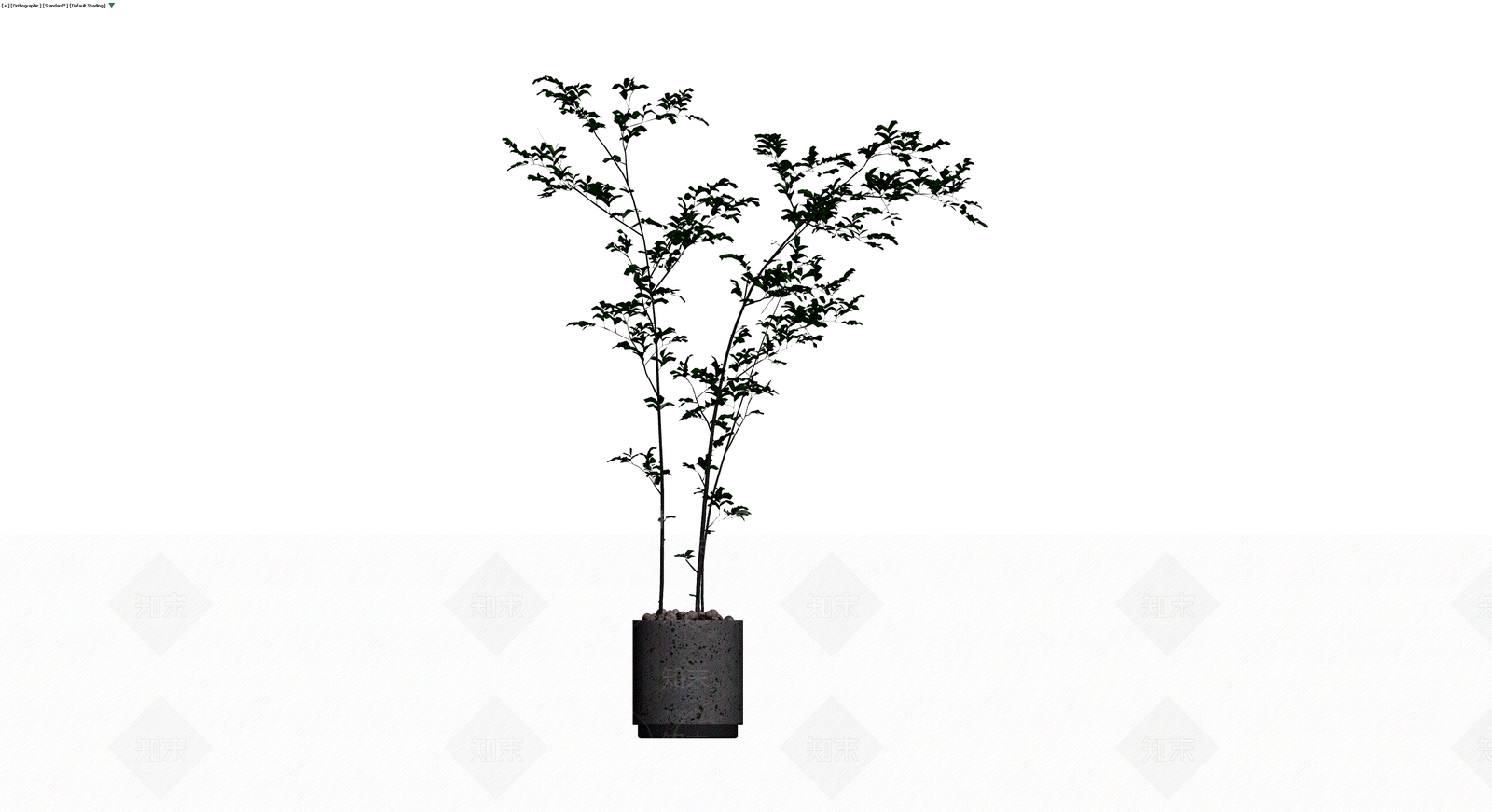 盆栽绿植模型3D模型下载【ID:1230674836】