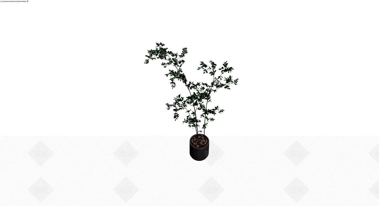 盆栽绿植模型3D模型下载【ID:1230674836】