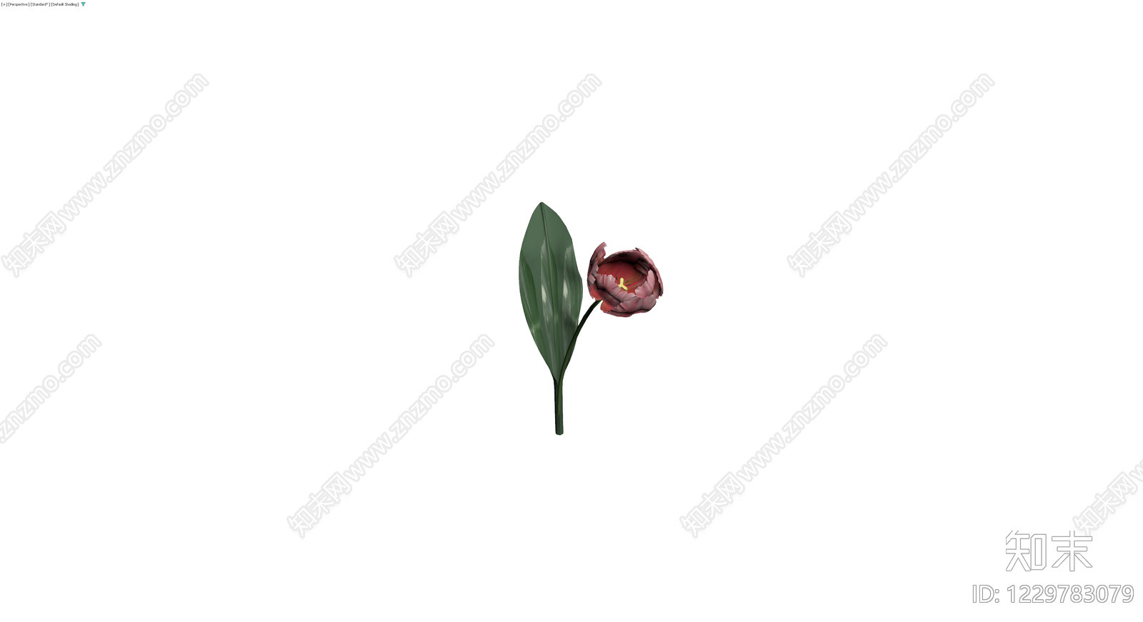 粉色郁金香模型3D模型下载【ID:1229783079】