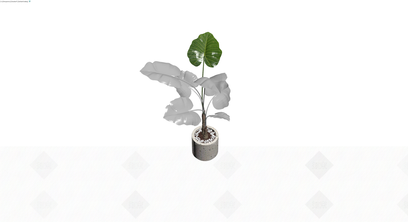 盆栽植物（灰模）3D模型下载【ID:1230435199】