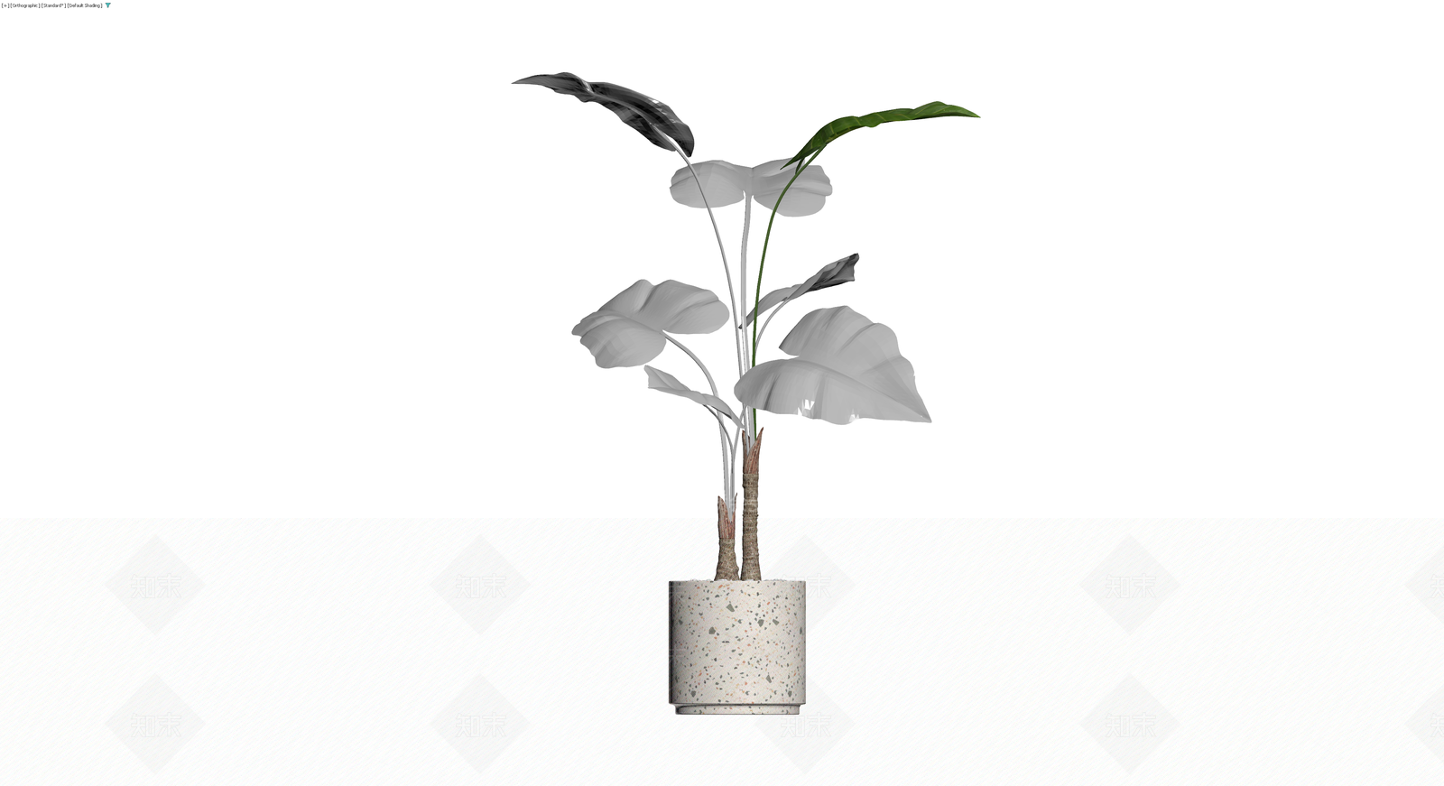 盆栽植物（灰模）3D模型下载【ID:1230435199】
