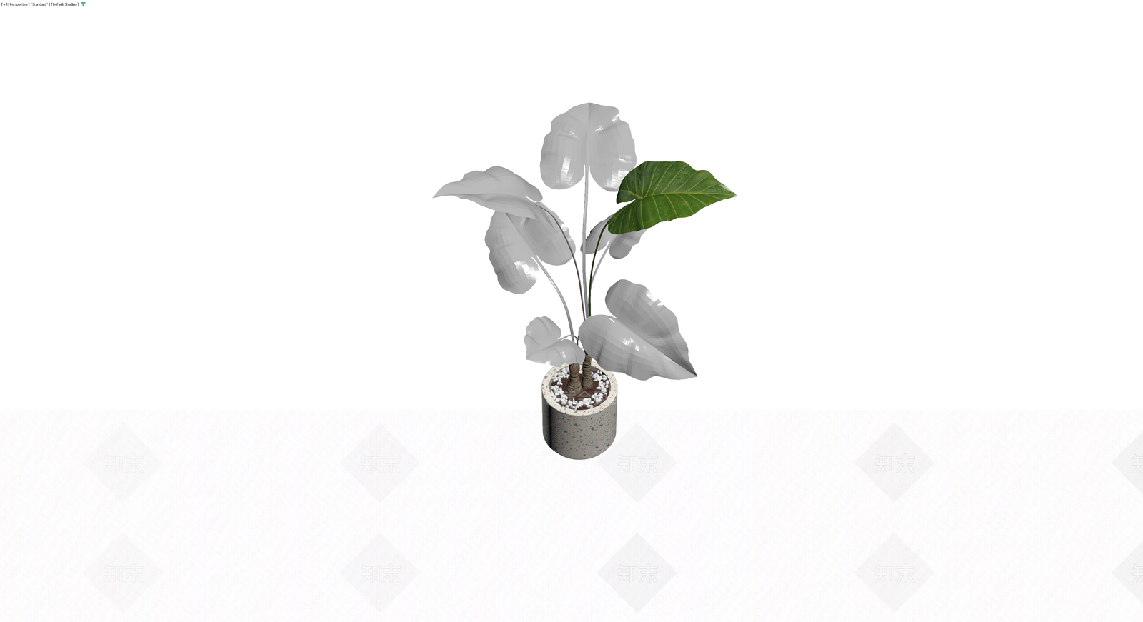 盆栽植物（灰模）3D模型下载【ID:1230435199】
