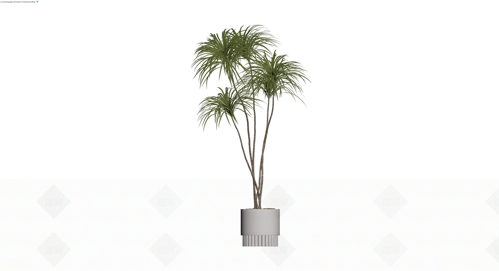 多干盆栽棕榈植物3D模型下载【ID:1230331416】