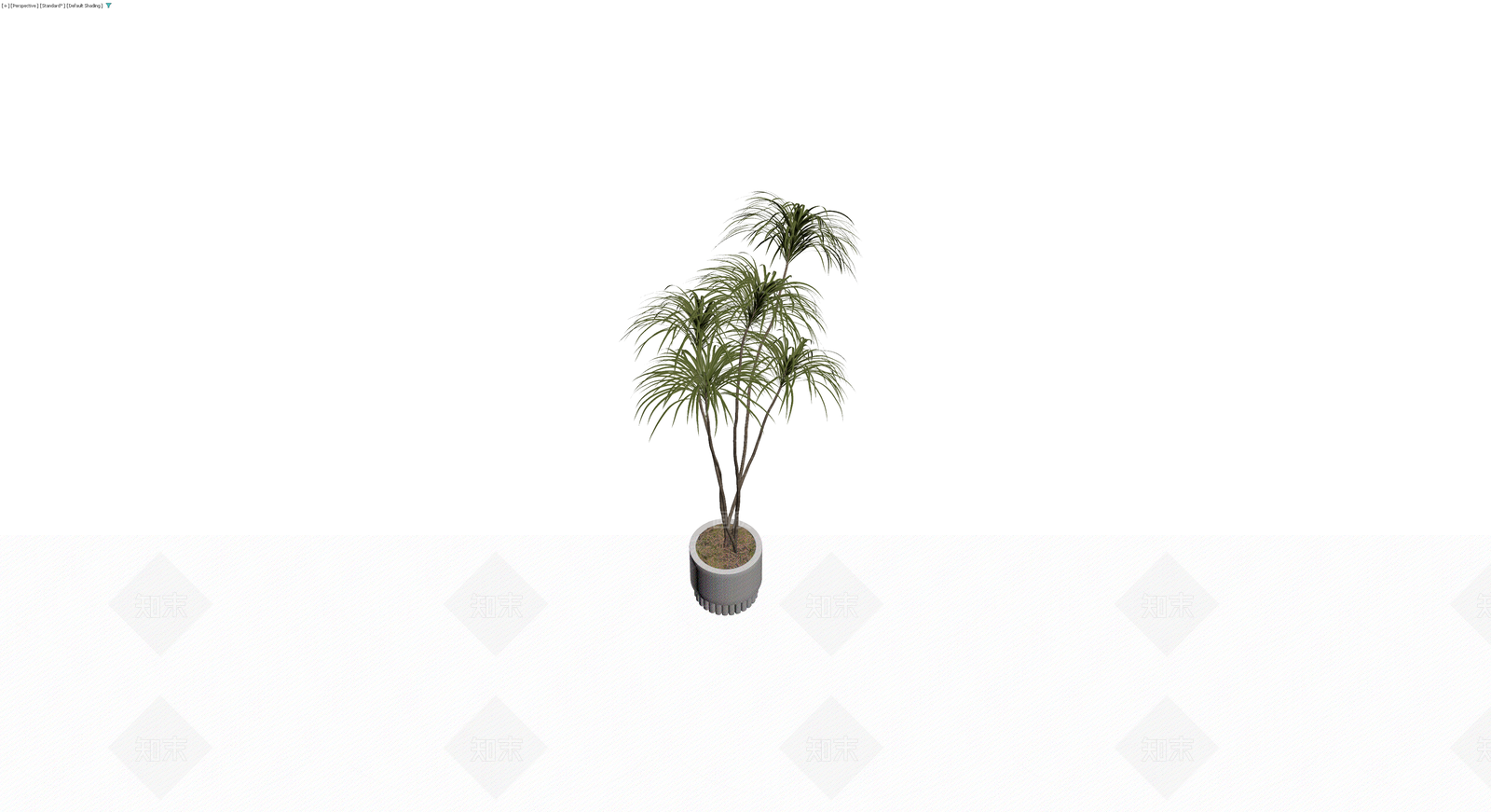 多干盆栽棕榈植物3D模型下载【ID:1230331416】