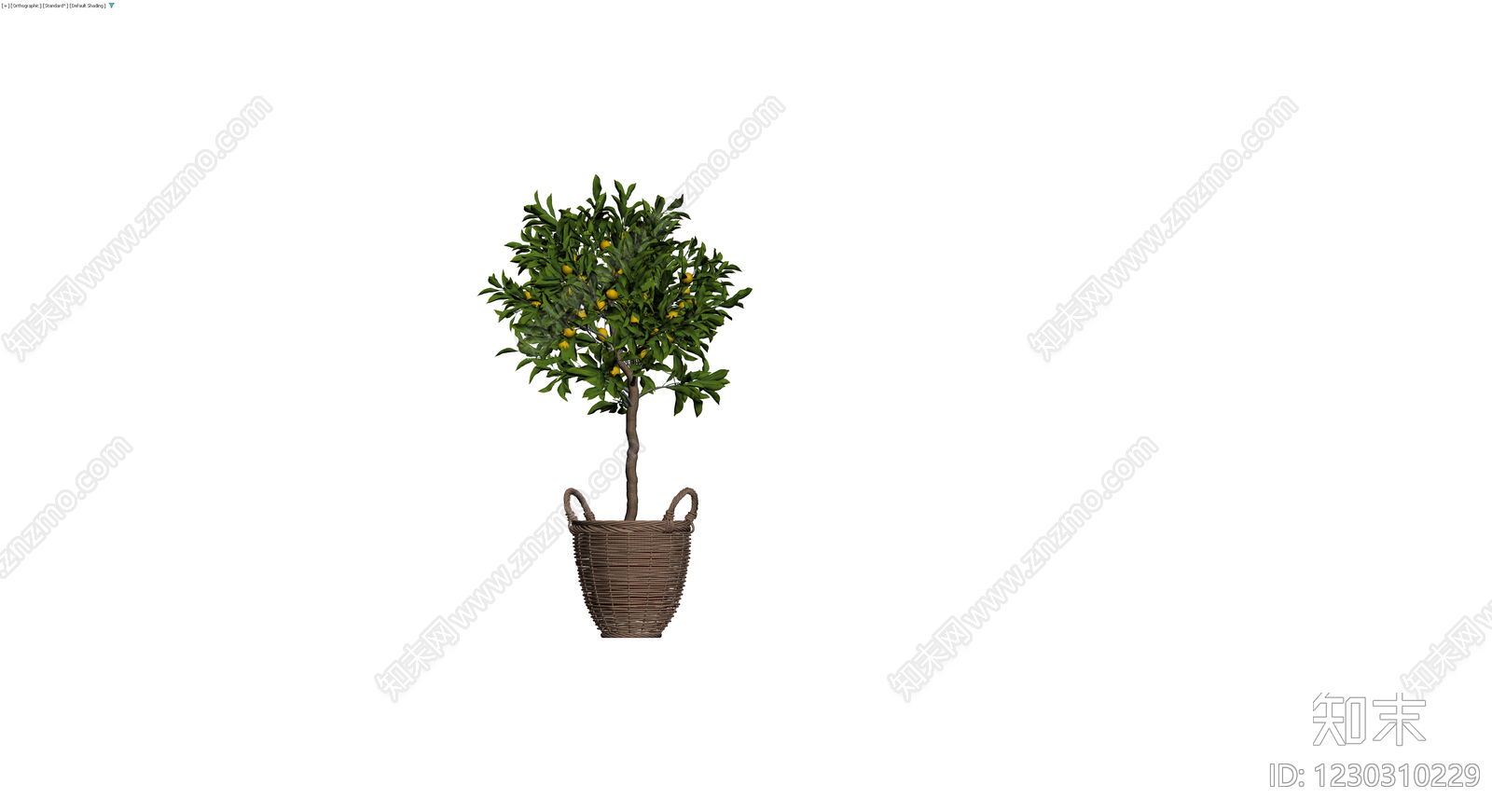 编织篮盆栽柠檬树3D模型下载【ID:1230310229】
